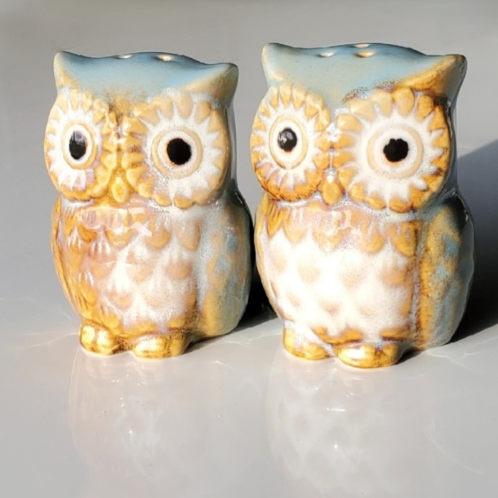 🦉Hoo❤️s These Ceramic 🦉 Salt & Pepper Shakers